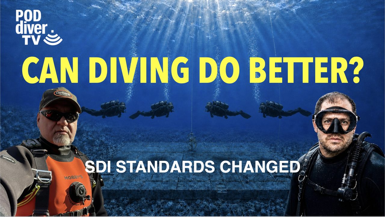 Thumbnail: Can Diving Do Better? SDI Standards Changed