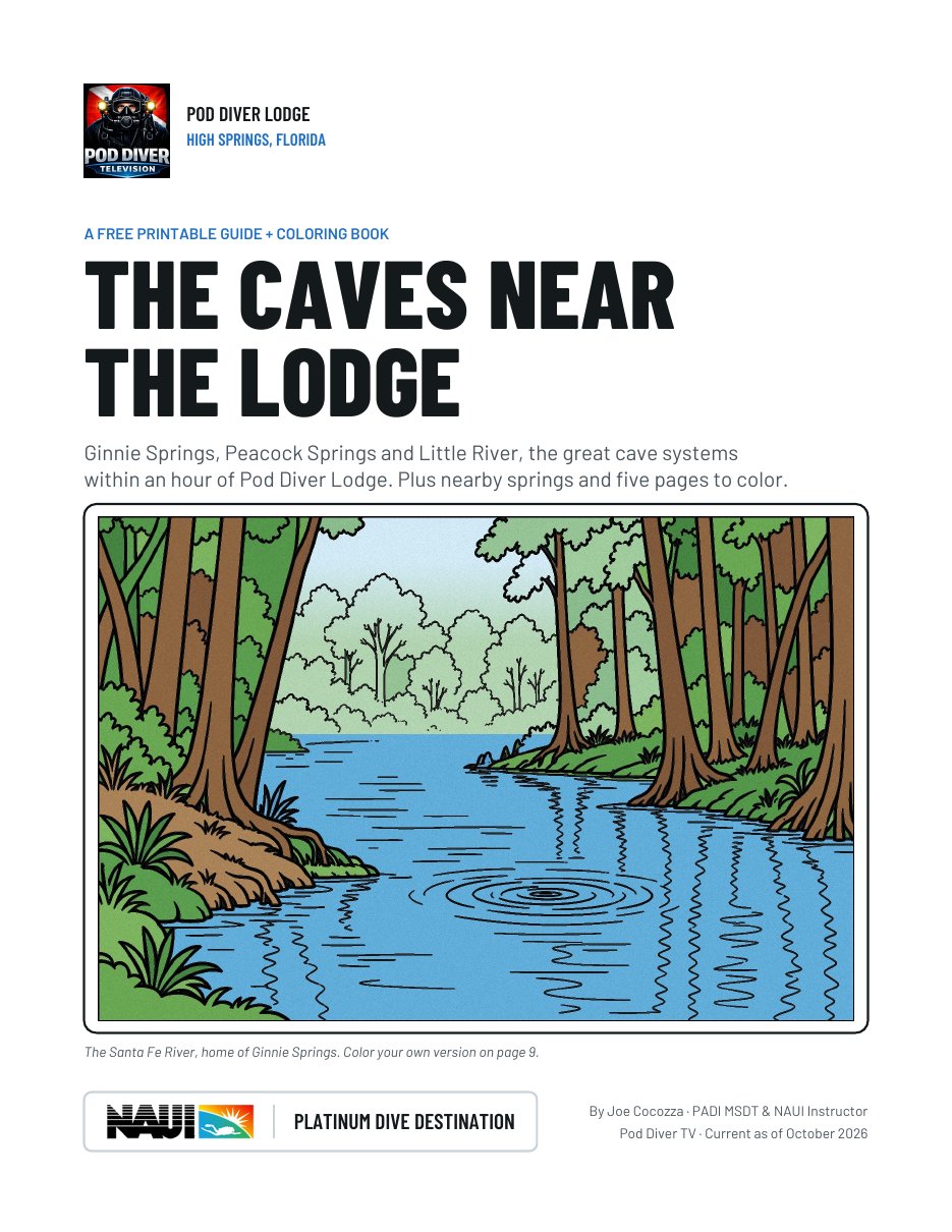 Cover of The Caves Near the Lodge guide